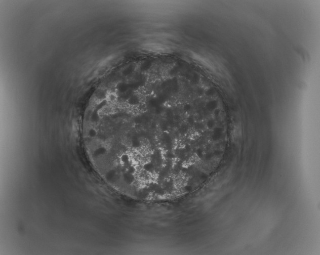X0000113261397200910081330