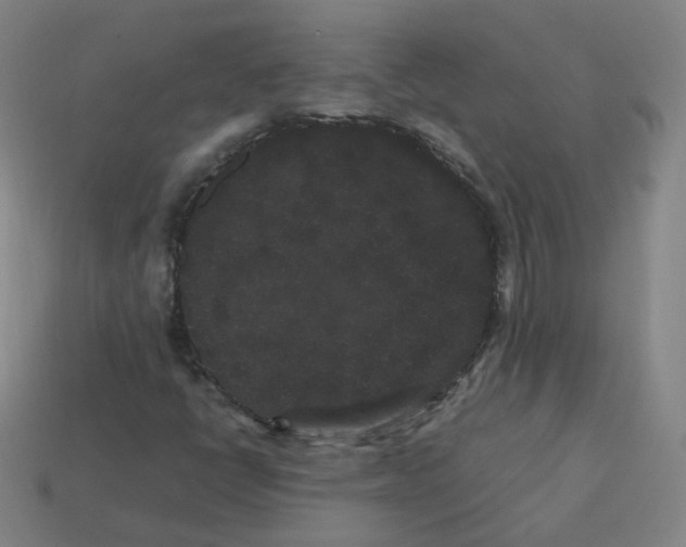 X0000113261398200910081330