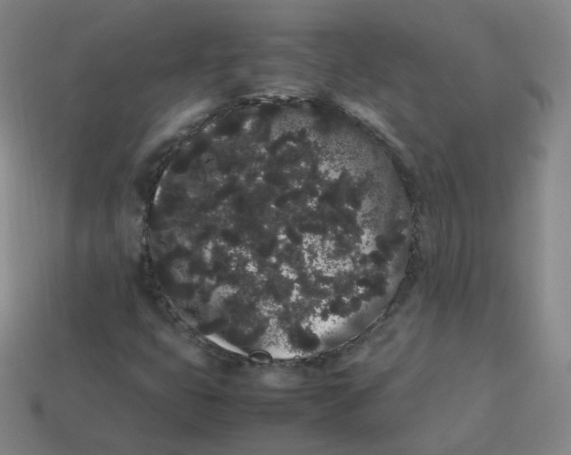 X0000113261399200910081330