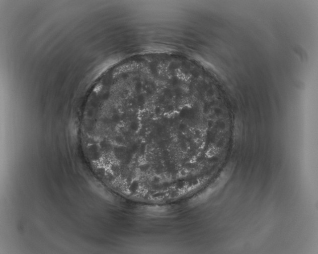 X0000113261401200910081330