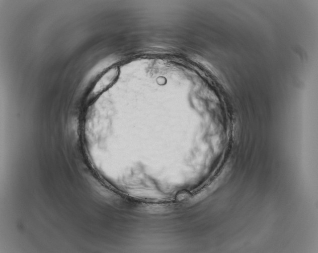 X0000113261402200910081330