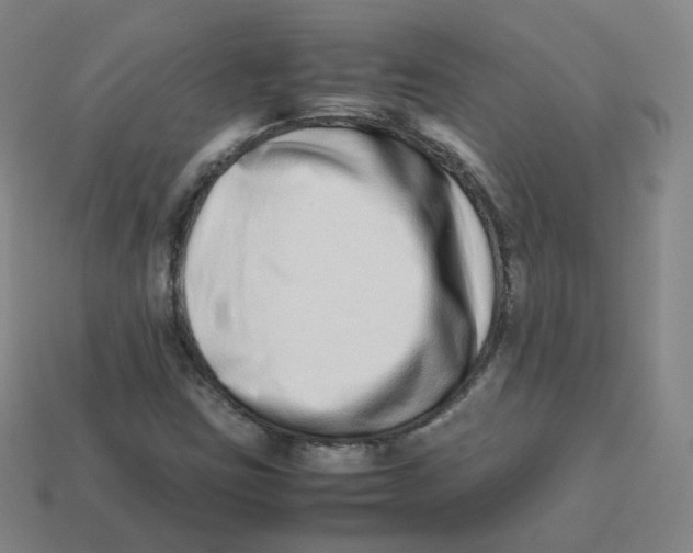 X0000113261403200910081330