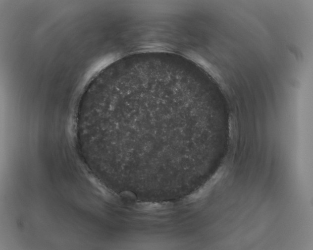 X0000113261405200910081330