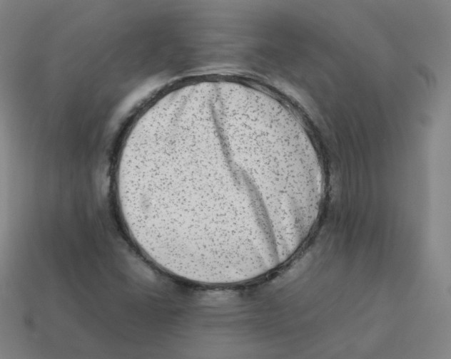 X0000113261406200910081330