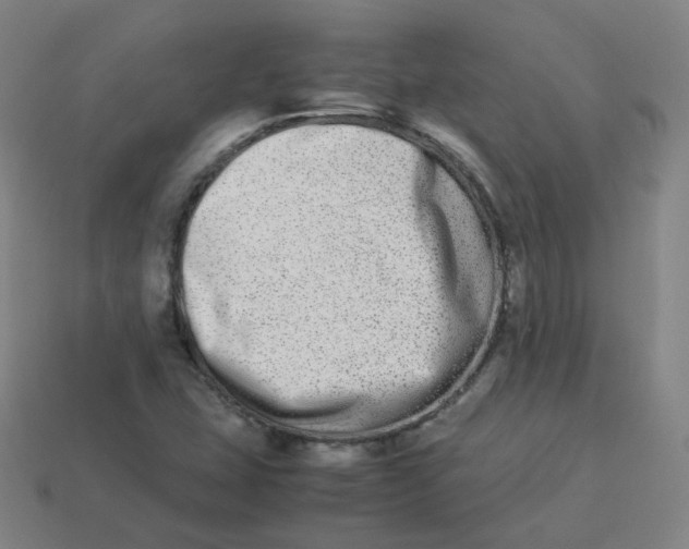 X0000113261407200910081330