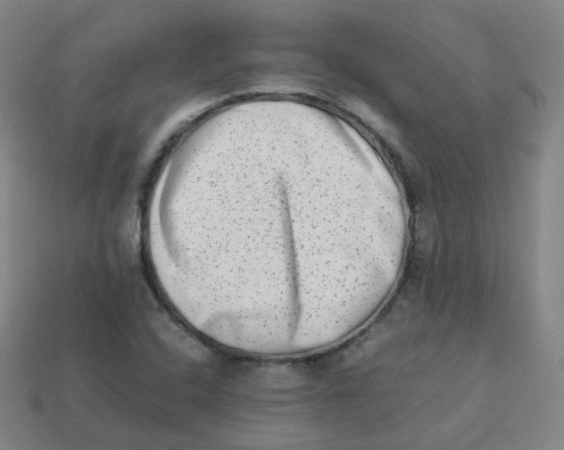 X0000113261408200910081330