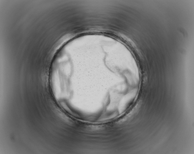 X0000113261409200910081330