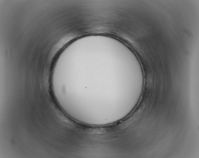 X0000113261410200910081330
