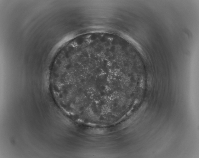 X0000113261411200910081330