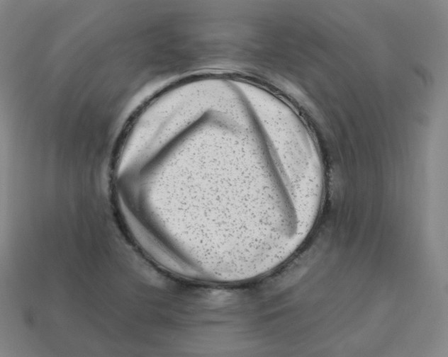 X0000113261412200910081330