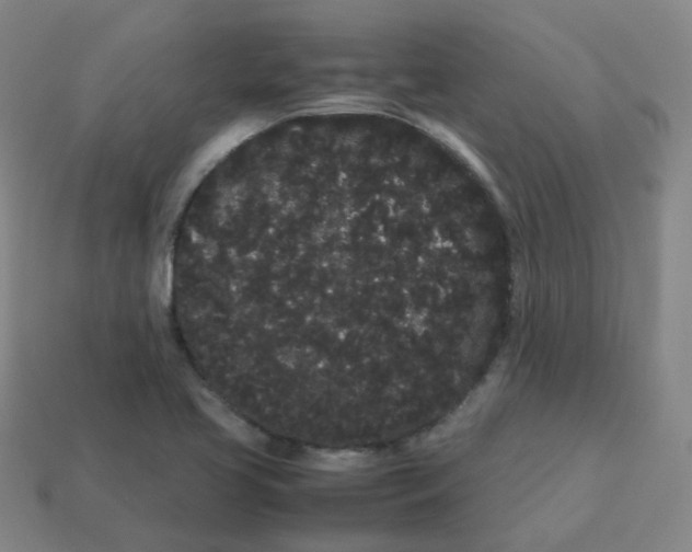 X0000113261413200910081330