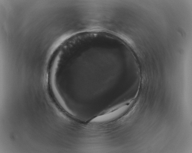 X0000113261414200910081330
