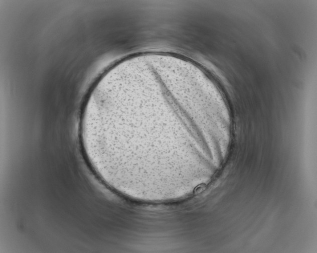 X0000113261416200910081330