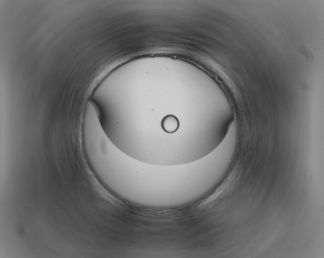 X0000113261417200910081330