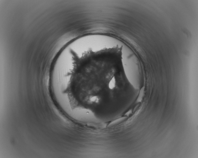 X0000113261418200910081330