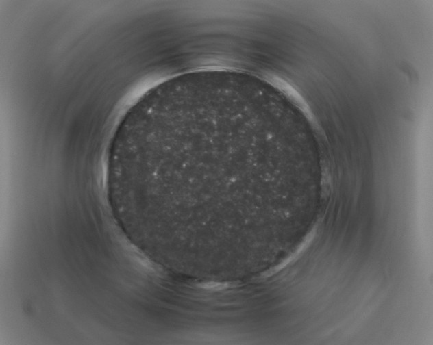 X0000113261419200910081330