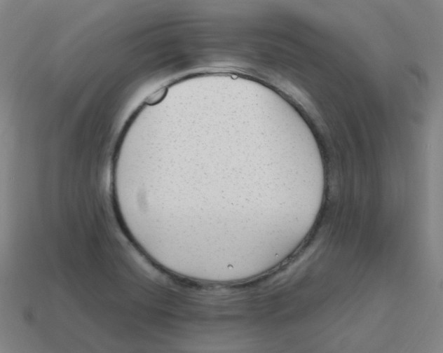 X0000113261420200910081330