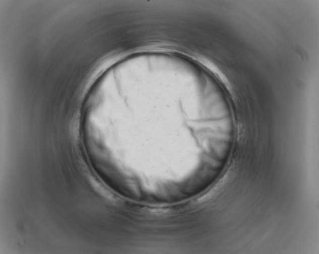 X0000113261421200910081330
