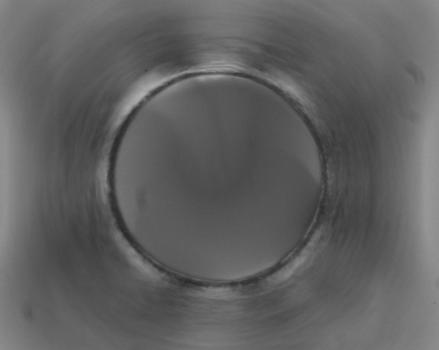 X0000113261422200910081330