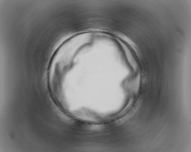 X0000113261423200910081330