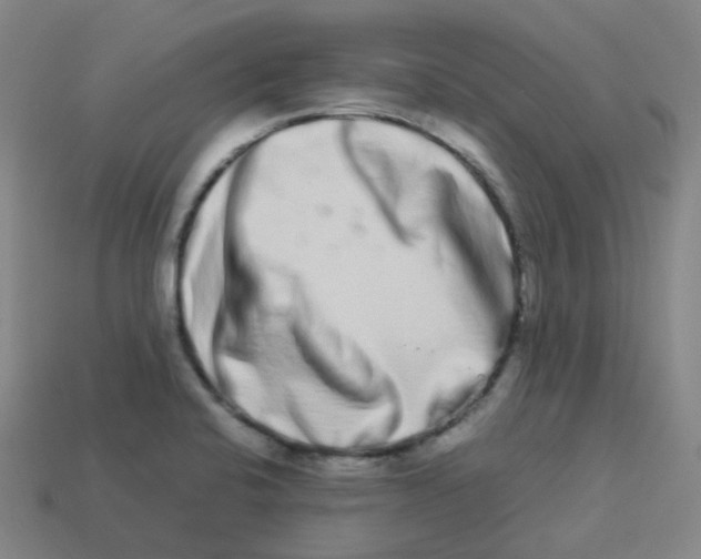 X0000113261424200910081330