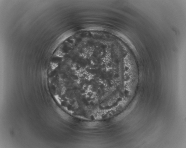 X0000113261425200910081330