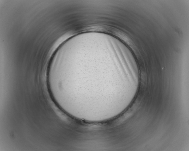 X0000113261426200910081330
