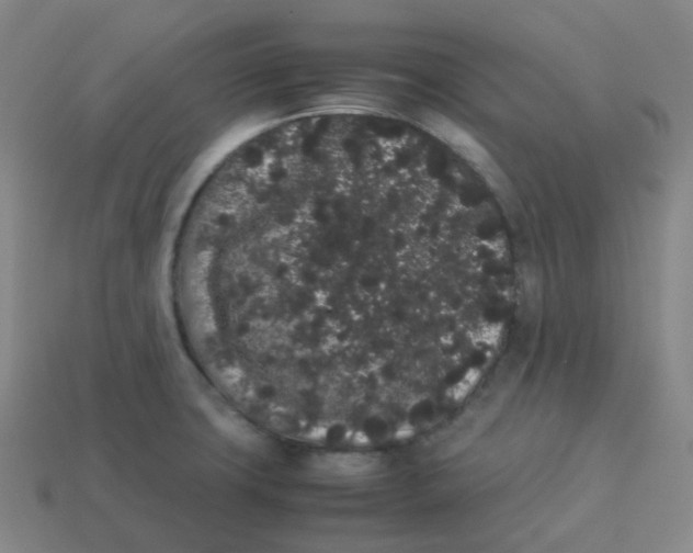 X0000113261427200910081330