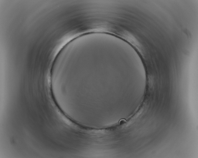 X0000113261428200910081330