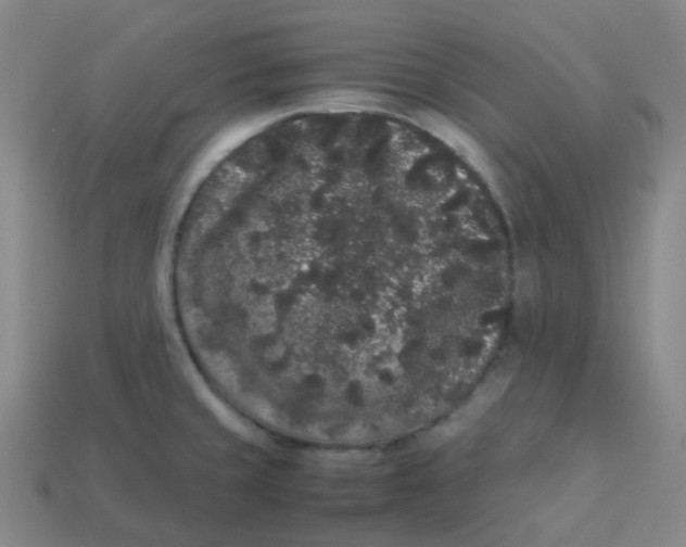 X0000113261429200910081330