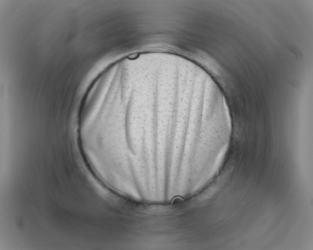 X0000113261430200910081330