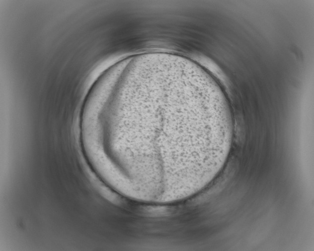 X0000113261431200910081330