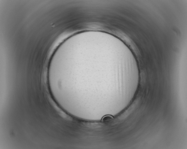 X0000113261432200910081330