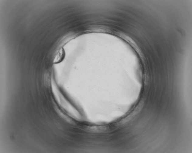 X0000113261433200910081330