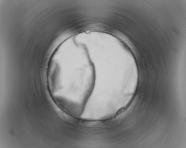 X0000113261434200910081330