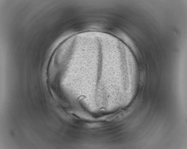 X0000113261435200910081330