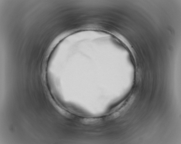 X0000113261437200910081330