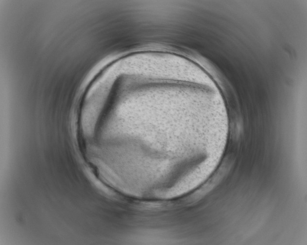 X0000113261438200910081330