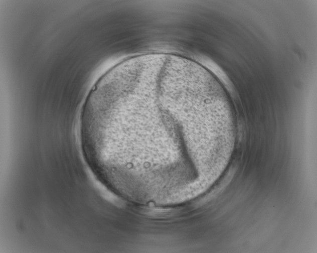 X0000113261439200910081330