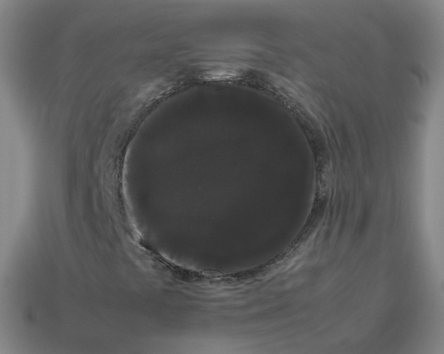 X0000113261441200910081330