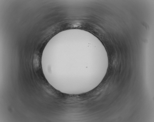 X0000113261442200910081330