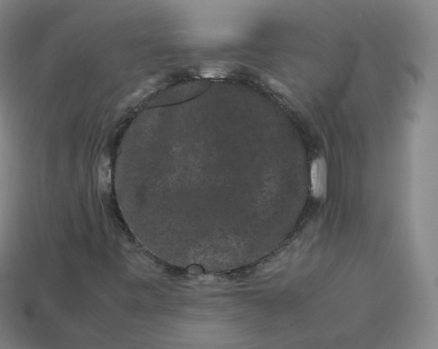 X0000113261443200910081330
