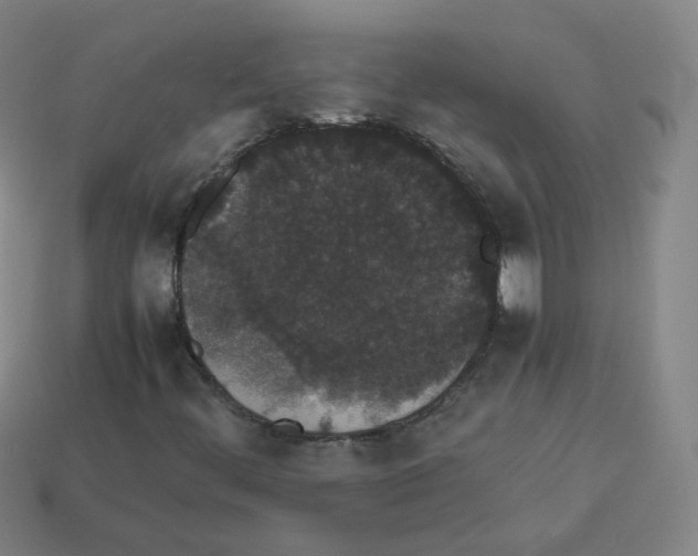 X0000113261444200910081330