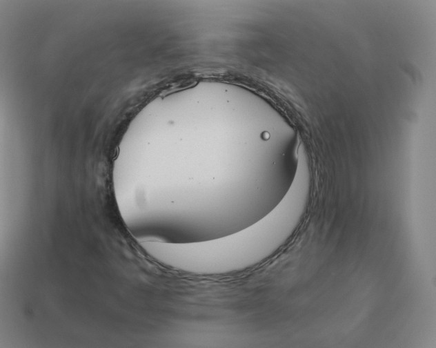 X0000113261445200910081330