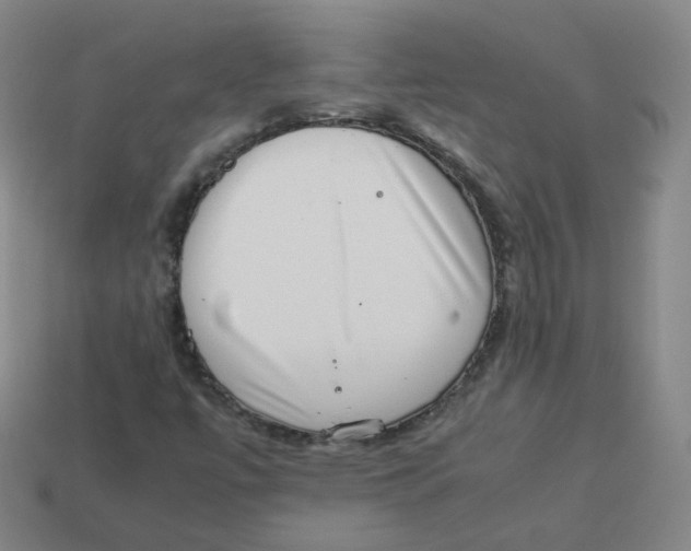 X0000113261447200910081330
