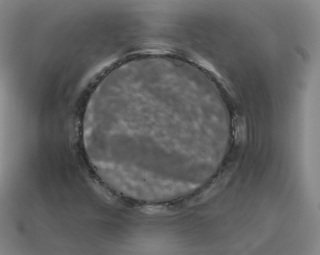 X0000113261448200910081330