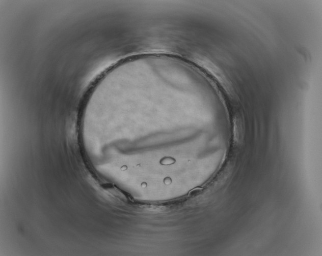 X0000113261452200910081330