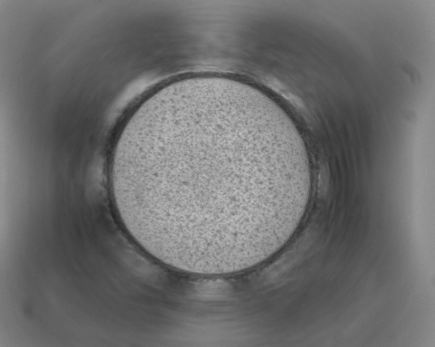 X0000113261454200910081330