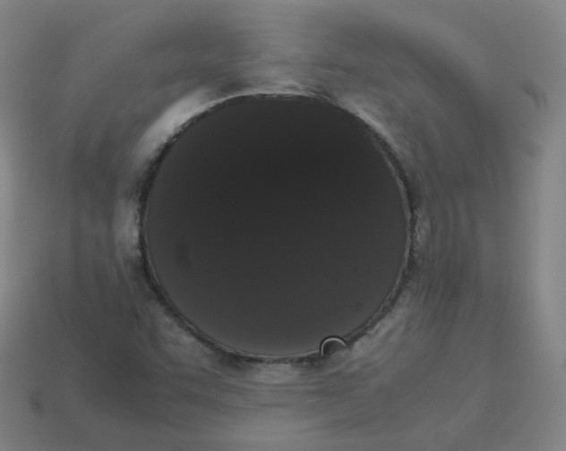 X0000113261455200910081330
