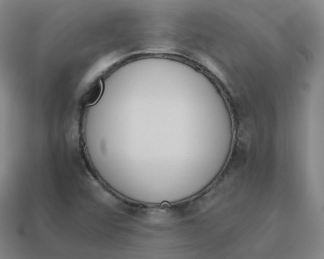 X0000113261456200910081330